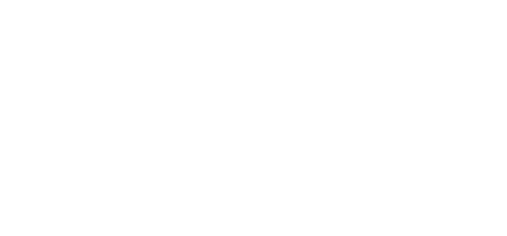 TUDelft